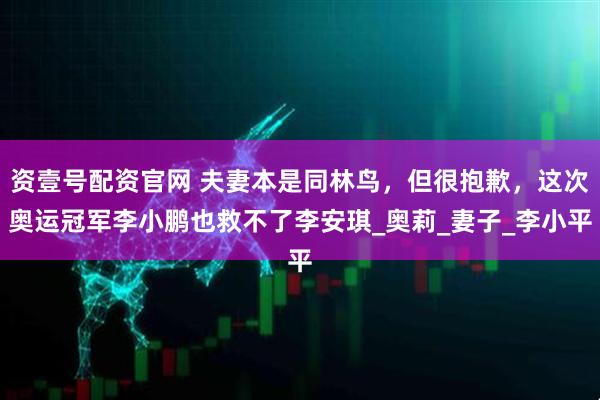 资壹号配资官网 夫妻本是同林鸟，但很抱歉，这次奥运冠军李小鹏也救不了李安琪_奥莉_妻子_李小平