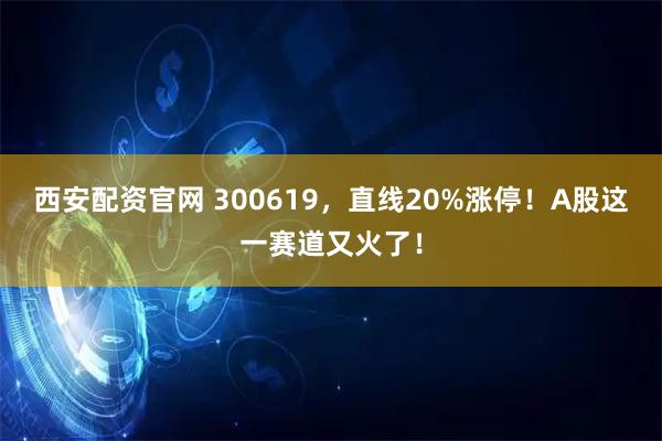 西安配资官网 300619，直线20%涨停！A股这一赛道又火了！